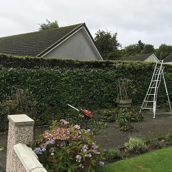 Hedge Works and Topiary